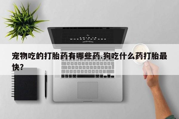 药流药怎么买宠物吃的打胎药有哪些药.狗吃什么药打胎最快？