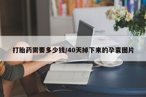 药流药怎么买打胎药需要多少钱/40天掉下来的孕囊图片